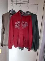 Grote maat vesten, Kleding | Heren, Onbekend, Trui of Vest, Ophalen of Verzenden, Grijs