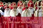 Hulp sint en pieten gezocht 6 dec regio westland, Diversen, Sinterklaas, Ophalen