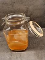 Kombucha scoby, Ophalen