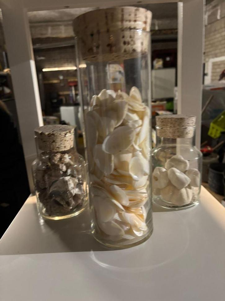 Set glazen potten met schelpen decoratie strand/zee sfeer, Huis en Inrichting, Woonaccessoires | Overige, Nieuw, Ophalen