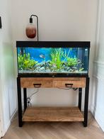 Jewel 180 aquarium met inhoud, Dieren en Toebehoren, Ophalen, Zo goed als nieuw, Gevuld zoetwateraquarium