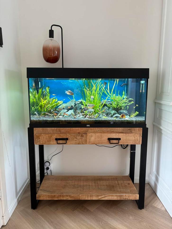 Jewel 180 aquarium met inhoud, Dieren en Toebehoren, Vissen | Aquaria en Toebehoren, Zo goed als nieuw, Gevuld zoetwateraquarium