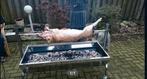 BBQ Spit TE HUUR, Ophalen
