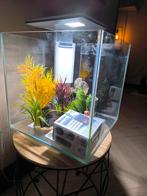 Superfish QubiQ 30 Pro white, Dieren en Toebehoren, Vissen | Aquaria en Toebehoren, Ophalen, Zo goed als nieuw, Leeg aquarium