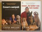 Cesars aanpak + Cesar, de leider van het roedel + Honden, Boeken, Dieren en Huisdieren, Ophalen, Gelezen, Honden