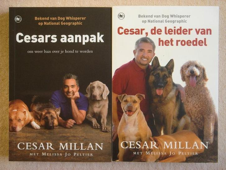 Cesars aanpak + Cesar, de leider van het roedel + Honden, Boeken, Dieren en Huisdieren, Gelezen, Honden, Ophalen