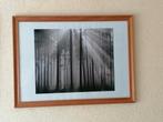 Bos foto met lijst, Ophalen, Zo goed als nieuw, 75 tot 100 cm, Foto of Poster