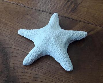 Betonnen zeester voor decoratie binnen of buiten  beschikbaar voor biedingen