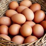 Binnenkort scharrelkip eieren te koop, Diversen, Ophalen