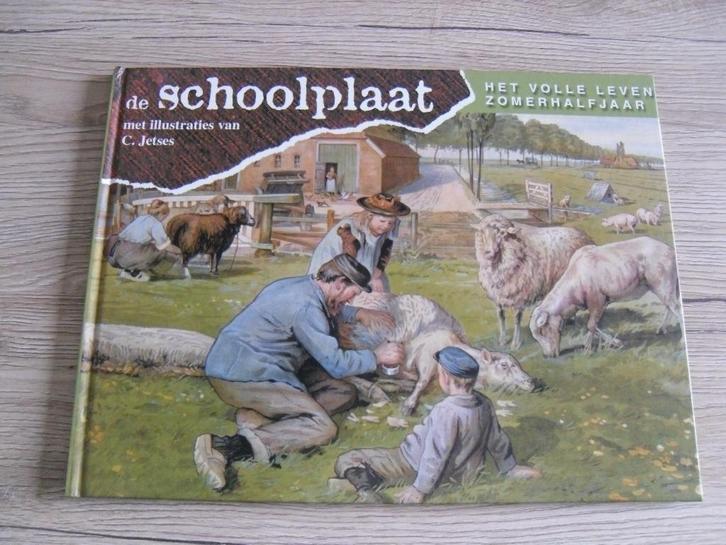 De Schoolplaat - Het volle leven zomerhalfjaar, Boeken, Prentenboeken en Plaatjesalbums, Zo goed als nieuw, Prentenboek, Ophalen of Verzenden
