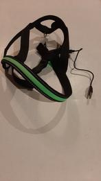 Honden riem met licht., Ophalen of Verzenden, Zo goed als nieuw, Hondenriem