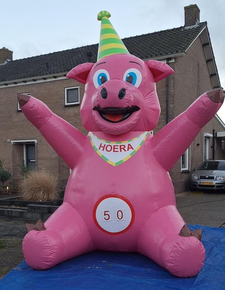 Feestvarken, Hobby en Vrije tijd, Feestartikelen | Verhuur, Nieuw, Abraham of Sarah, Ophalen