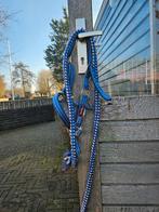 Helblauw halster + touw Premiere pony, Ophalen of Verzenden, Gebruikt, Overige soorten
