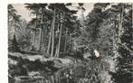 8930 Driebergen, Heldentuin, Ophalen of Verzenden