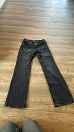 Levi bootcut jeans, Nieuw, Overige jeansmaten, Blauw, Ophalen of Verzenden