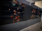 Oranda & Ranchu goudvissen @vijvercentrum Apeldoorn, Vis