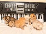 Mooie babys, Dieren en Toebehoren