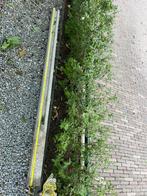 8 beton(schutting) palen, Tuin en Terras, Schuttingen, Ophalen, Overige materialen, Gebruikt, Minder dan 3 meter