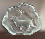 Mats Jonasson glassculptuur, Ophalen of Verzenden