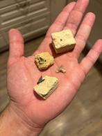 Fossiele haaientanden uit het Krijt van België en Nederland., Verzamelen, Mineralen en Fossielen, Ophalen of Verzenden, Fossiel