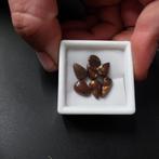 6 hand geslepen Mexicaanse vuuragaten, Ophalen of Verzenden, Nieuw