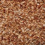 Vloerkleed Brinker Salsa