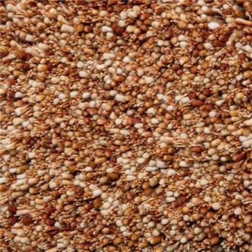 Vloerkleed Brinker Salsa  beschikbaar voor biedingen