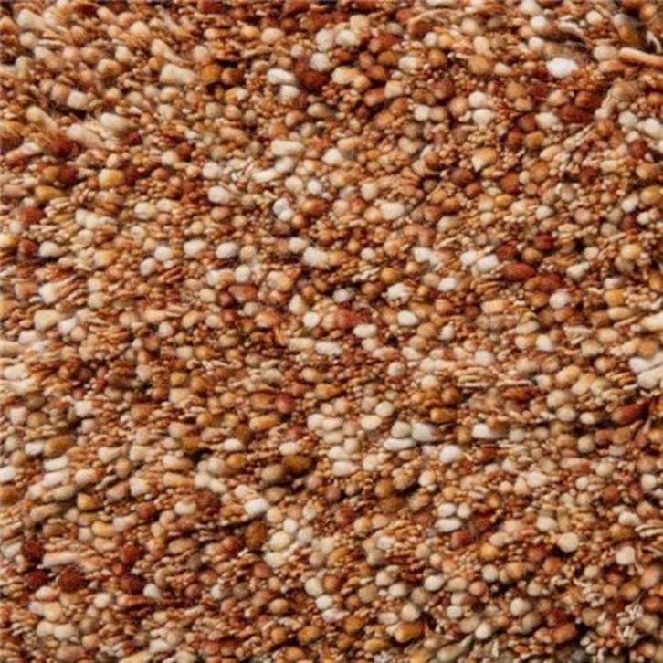 Vloerkleed Brinker Salsa, Huis en Inrichting, Stoffering | Tapijten en Kleden, Nieuw, 200 cm of meer, 200 cm of meer, Rechthoekig