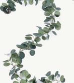 Eucalyptus slinger, Ophalen