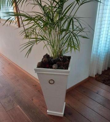 Houten Plantenbak 70cm plantenzuil vaas incl palm  Eindhoven beschikbaar voor biedingen