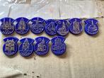 11 speldjes van de steden van de elfstedentocht, Verzamelen, Speldjes, Pins en Buttons, Ophalen of Verzenden, Zo goed als nieuw