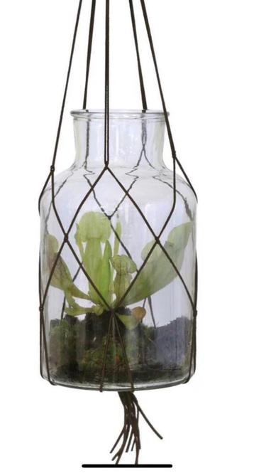 Vazen - Hk living - vaas hangend - plantenhanger - terrarium beschikbaar voor biedingen