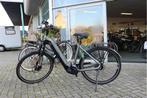 Conway Caron T380 l Bosch Active Plus l 500wh l 56cm