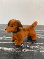 Steiff hond met knop 17 cm, Ophalen of Verzenden