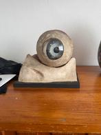 Vintage anatomisch model menselijk oog, Ophalen of Verzenden, Natuur en Biologie