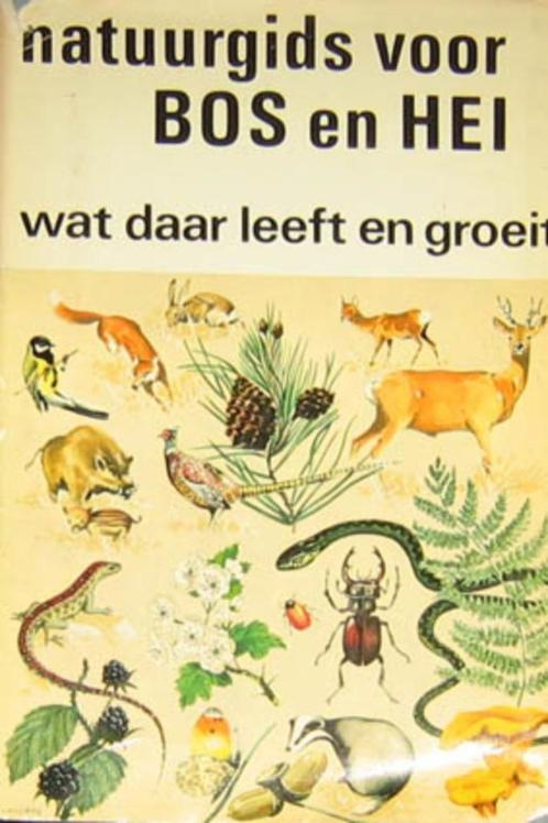 Natuurgids voor bos en hei - Wat daar leeft en groeit, Boeken, Natuur, Zo goed als nieuw, Ophalen of Verzenden