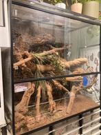 Terrarium 100x100x60 cm, Dieren en Toebehoren, Reptielen en Amfibieën | Toebehoren, Gebruikt, Ophalen of Verzenden