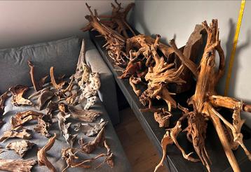 +100 stuks driftwood / kienhout / spiderwood, hout decoratie beschikbaar voor biedingen