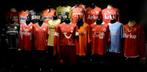 Gezocht matchworn shirts fc twente of jaren 90shirts fanshop, Ophalen of Verzenden, Zo goed als nieuw, F.C. Twente, Shirt