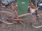 Sparta oldtimer, 51 tot 55 cm, Ophalen