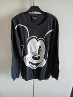 Disney  trui, Ophalen of Verzenden, Zo goed als nieuw, Grijs
