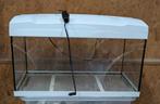 Aquarium br 60cm x h 35cm x d 30cm, Dieren en Toebehoren, Vissen | Aquaria en Toebehoren, Ophalen of Verzenden, Gebruikt, Leeg aquarium