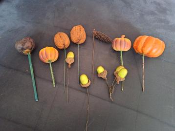 Kunststof Fruit Stekers beschikbaar voor biedingen