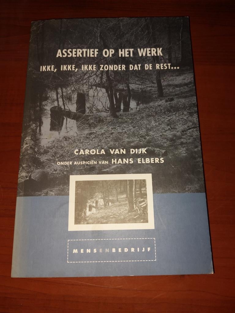 Assertief op het Werk - Carola van Dijk, Ophalen of Verzenden, Zo goed als nieuw, Overige onderwerpen, Carola van Dijk