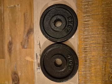 2.5 kilo schijven met 27mm halter diameter beschikbaar voor biedingen