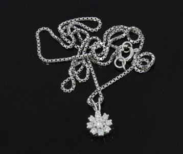 Rozet hanger 9 diamanten 14k wit gouden ketting dames fraai beschikbaar voor biedingen