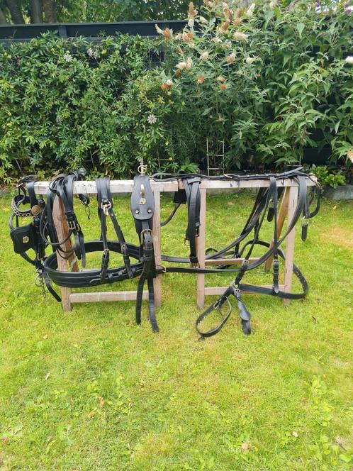 BR mentuig/koetstuig, zware kwaliteit, maat full, Dieren en Toebehoren, Paarden en Pony's | Hoofdstellen en Tuigage, Gebruikt