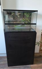 Terrarium 60x60x40, Dieren en Toebehoren, Reptielen en Amfibieën | Toebehoren, Ophalen