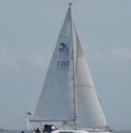 Te koop Genua., Watersport en Boten, Zeilen en Zeiltoebehoren, 6 meter of meer, Gebruikt, Genua of Fok, Ophalen