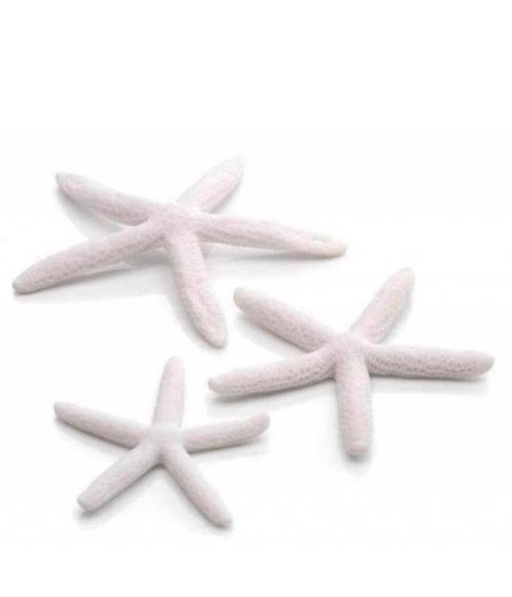NIEUW: Biorb white seastars! 7,50€, Dieren en Toebehoren, Vissen | Aquaria en Toebehoren, Nieuw, Sierelement, Ophalen of Verzenden